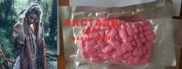 ECSTASY Богородск